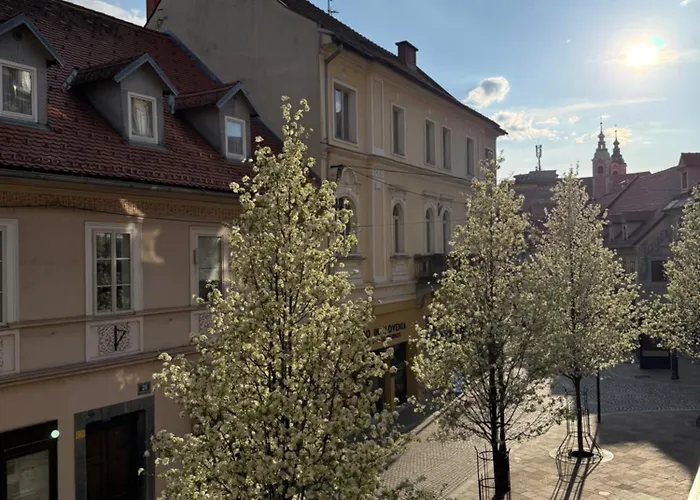 Viti Apartmán Lublaň